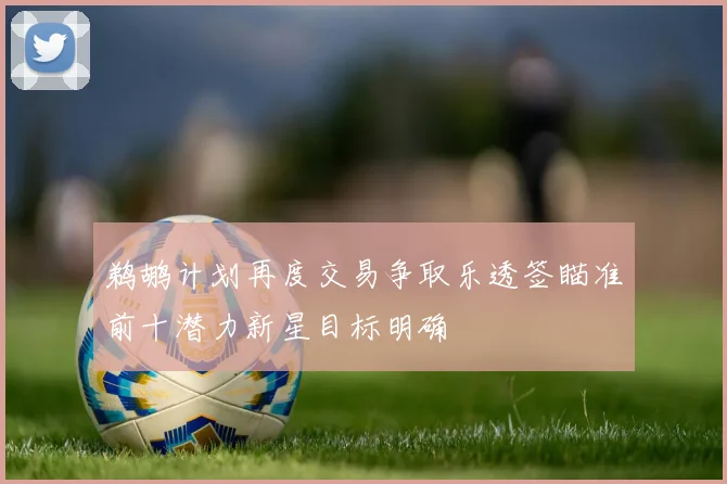鹈鹕计划再度交易争取乐透签瞄准前十潜力新星目标明确